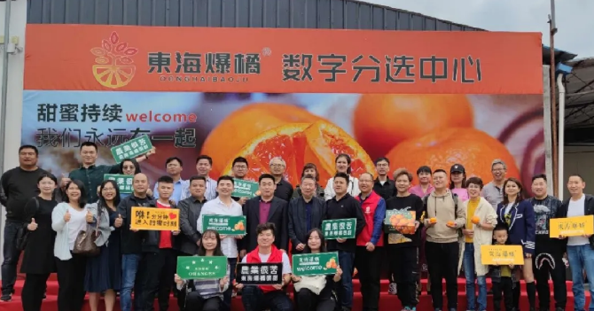 東海爆橘建立綠萌數(shù)字分選中心一陣果汁，細(xì)膩無(wú)渣，這橘子臉皮很薄，脾氣“爆”！每年秋冬季節(jié)，市場(chǎng)上各種各樣的橘子層出不窮，有些是黃澄澄的，有些是紅色的，讓人一看就喜歡，每年都買(mǎi)回來(lái)。貪心的時(shí)候找到一個(gè)，手里冰涼。我迫不及待地把它剝下來(lái)，迅速放進(jìn)嘴里。那一刻橙汁從我的喉嚨滑落，整個(gè)秋冬的干燥被