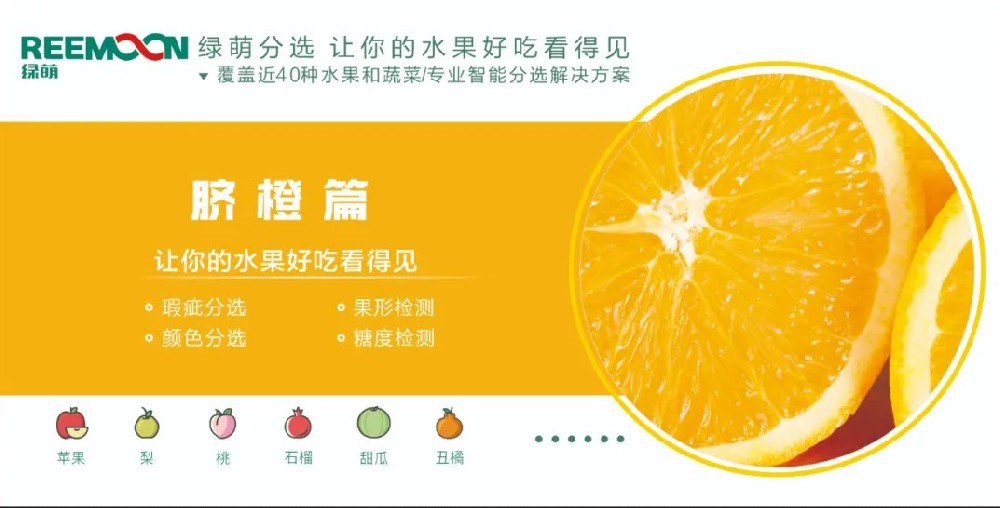 糖度可視化 好吃看得見【臍橙篇】來源：客家新聞網訊 記者何亮報道據悉，2019年，贛州市臍橙種植面積達到162萬畝、產量122萬噸，產值129億元。?20多年前，一批和新奇士品質相近的贛南臍橙，用低于新奇士一半的價格出售，銷量卻并不見得比新奇士好。如今，贛南臍橙產值129億元，是什么讓贛南臍橙聲名鵲起？綠萌臍橙果表瑕疵