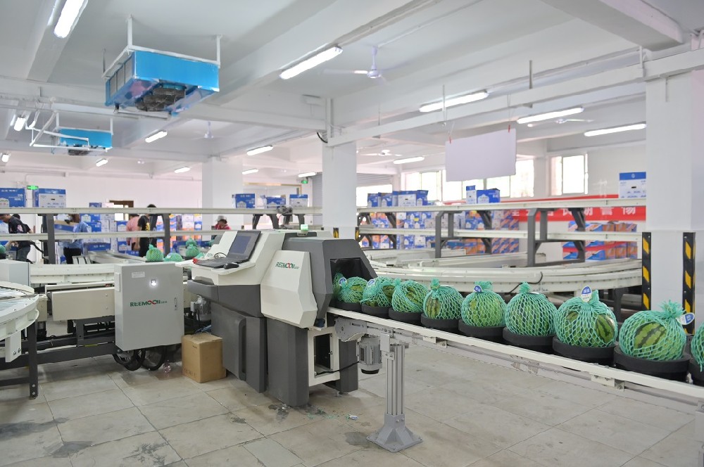 深圳市金津農產品有限公司（以下簡稱金津）經過十多年的發展，已成為同行業內具有強大實力的農業產業化公司，是國內少有的精品瓜品牌。憑借過硬的品質，進駐一線優質售賣渠道。偶然的一次種瓜，帶來豐收的意外之喜2007年，試種帥童西瓜，在香港市大賣，一時供不應求，金津開始規?；N植。擴大供應基地，實現周年供