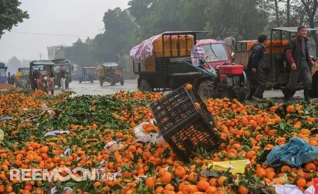中國(guó)是果業(yè)大國(guó)，水果種植面積和產(chǎn)量近年來(lái)一直穩(wěn)居世界第一。隨著消費(fèi)水平的提高，中國(guó)果業(yè)發(fā)展迅速，成為資本進(jìn)入的重要領(lǐng)域，許多人紛紛跨界轉(zhuǎn)入了農(nóng)業(yè)，盡管大量的資金和人才進(jìn)入，但仍未能改變現(xiàn)狀:中國(guó)果業(yè)當(dāng)前面臨的主要問(wèn)題仍是“產(chǎn)能過(guò)剩，質(zhì)量不高”。那么，中國(guó)果業(yè)目前處于什么狀況?世界果業(yè)的發(fā)展如何，進(jìn)入水