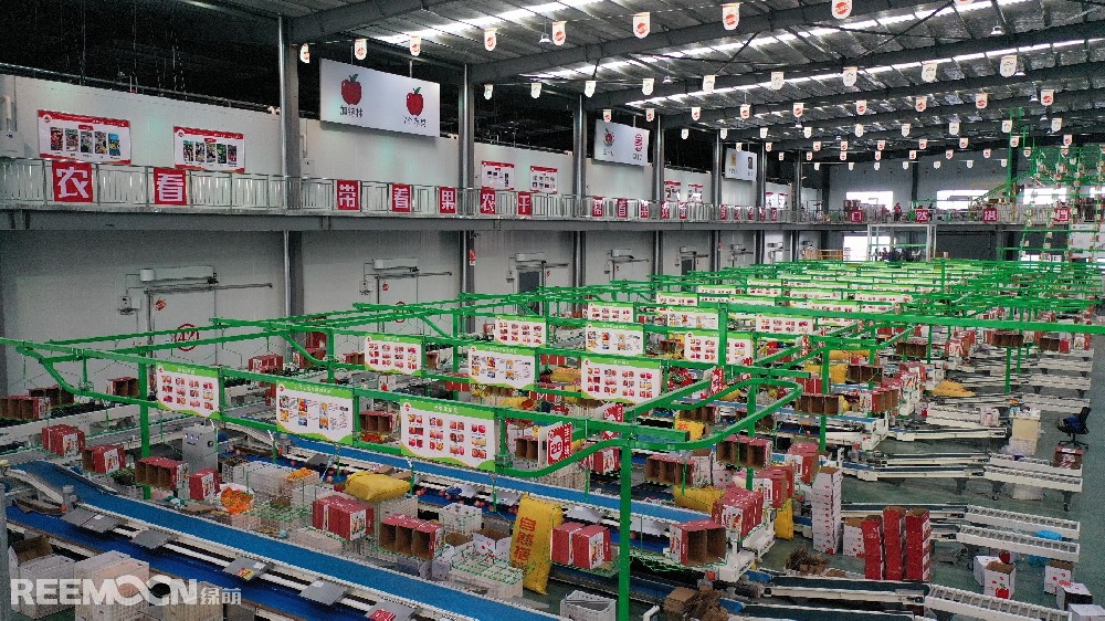6月11日，走進(jìn)洛川縣蘋果現(xiàn)代產(chǎn)業(yè)園區(qū)，在延安自然搭檔農(nóng)業(yè)發(fā)展有限公司智能分選車間，機(jī)械轟鳴，人頭攢動(dòng)，幾十名工人有條不紊地在分選線上忙碌著。一個(gè)個(gè)色澤紅潤(rùn)、大小勻稱的蘋果，正通過圓形硅膠托盤運(yùn)上智能選果線，經(jīng)過檢測(cè)通道依次歸位，按照重量、甜度等被分成數(shù)個(gè)等級(jí)。工人們麻利地把分級(jí)后蘋果擺放至果箱內(nèi)，進(jìn)行